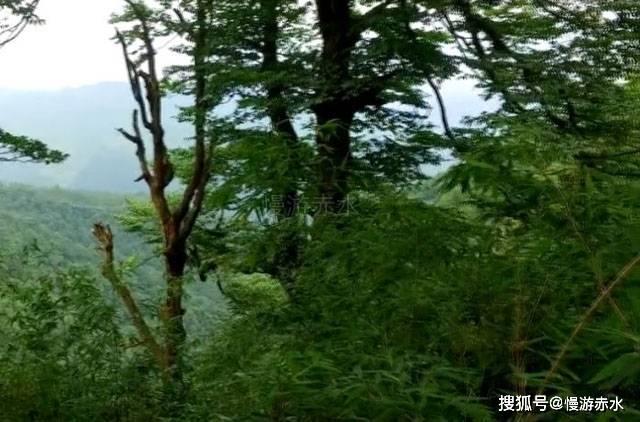 执掌风云萧峥陈虹(执掌风云1萧峥陈虹)执掌风云2萧峥陈虹