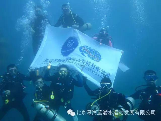 虫虫助手下载